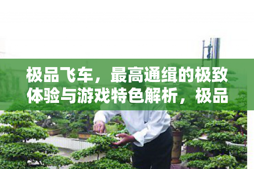 极品飞车,最高通缉的极致体验与游戏特色解析,极品飞车,最高通缉极致体验与游戏特色全解析 极品飞车,最高通缉的极致体验与游戏特色解析,极品飞车,最高通缉极致体验与游戏特色全解析