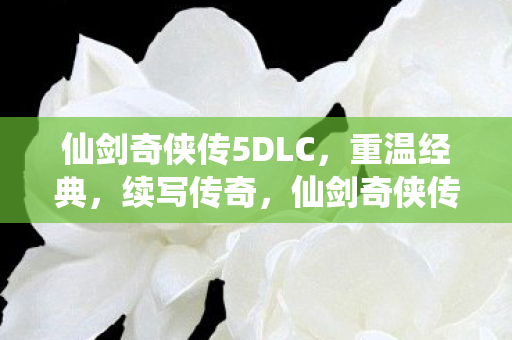 仙剑奇侠传5DLC图片