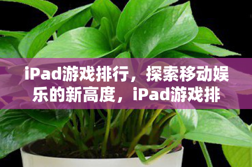 探索移动娱乐的新高度图片