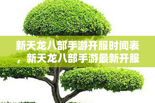 新天龙八部手游开服时间表,新天龙八部手游最新开服时间公布 新天龙八部手游开服时间表,新天龙八部手游最新开服时间公布