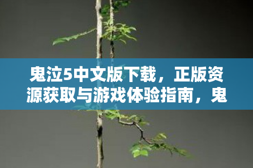 鬼泣5中文版下载,正版资源获取与游戏体验指南,鬼泣5中文版下载与游戏体验全攻略 鬼泣5中文版下载,正版资源获取与游戏体验指南,鬼泣5中文版下载与游戏体验全攻略