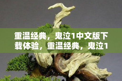 鬼泣1中文版下载体验图片