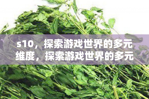 s10,探索游戏世界的多元维度,探索游戏世界的多元维度,S10的奇妙之旅 s10,探索游戏世界的多元维度,探索游戏世界的多元维度,S10的奇妙之旅