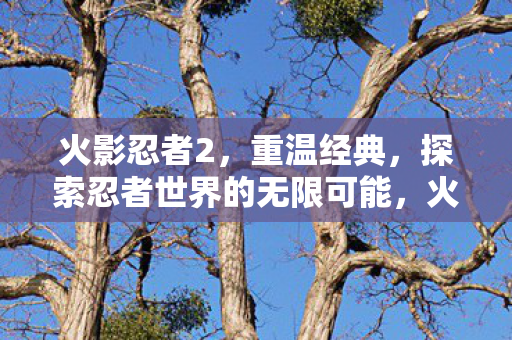 火影忍者2，重温经典，探索忍者世界的无限可能，火影忍者2，重温经典，探索忍者世界的无限可能