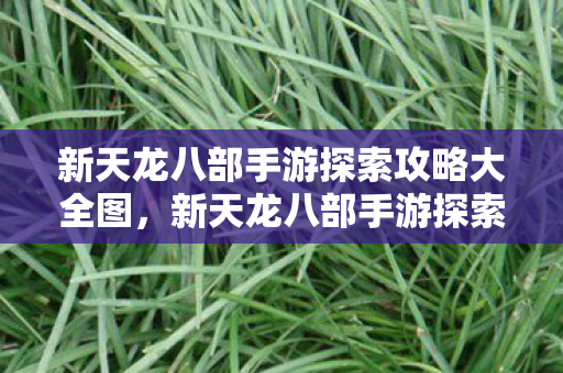 新天龙八部手游探索攻略大全图，新天龙八部手游探索攻略全图解
