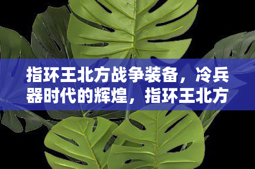 指环王北方战争装备,冷兵器时代的辉煌,指环王北方战争装备,冷兵器时代的荣耀与辉煌 指环王北方战争装备,冷兵器时代的辉煌,指环王北方战争装备,冷兵器时代的荣耀与辉煌