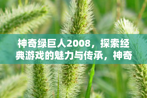 探索经典游戏的魅力与传承图片