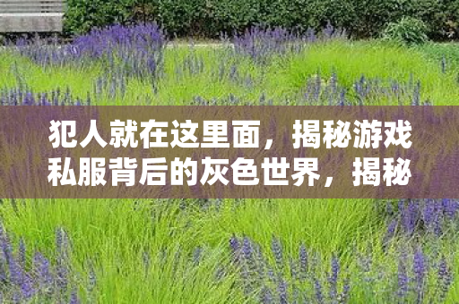 犯人就在这里面,揭秘游戏私服背后的灰色世界,揭秘游戏私服背后的灰色世界,犯人就在这里面 犯人就在这里面,揭秘游戏私服背后的灰色世界,揭秘游戏私服背后的灰色世界,犯人就在这里面