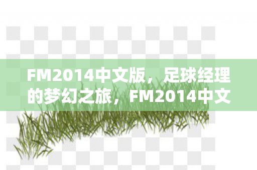 FM2014中文版,足球经理的梦幻之旅,FM2014中文版,开启足球经理的梦幻之旅 FM2014中文版,足球经理的梦幻之旅,FM2014中文版,开启足球经理的梦幻之旅