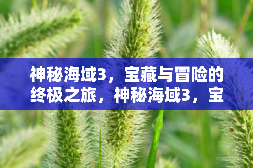 神秘海域3,宝藏与冒险的终极之旅,神秘海域3,宝藏与冒险的终极之旅 神秘海域3,宝藏与冒险的终极之旅,神秘海域3,宝藏与冒险的终极之旅