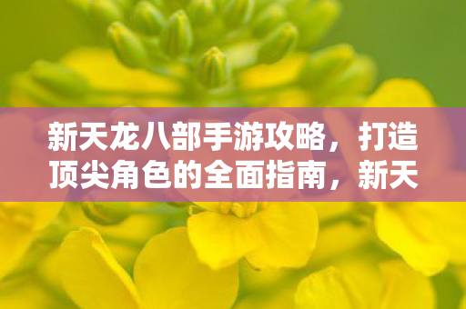 新天龙八部手游攻略,打造顶尖角色的全面指南,新天龙八部手游,打造顶尖角色全面攻略 新天龙八部手游攻略,打造顶尖角色的全面指南,新天龙八部手游,打造顶尖角色全面攻略