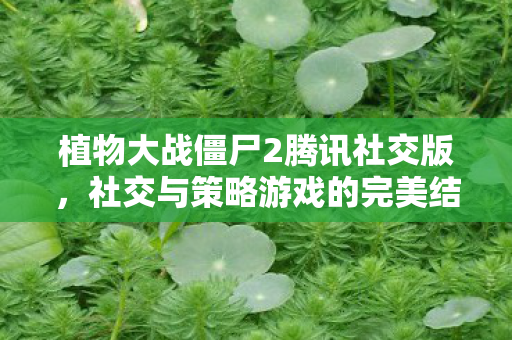 三国志威力加强版,策略与智慧的碰撞,三国志威力加强版,策略与智慧的终极对决 三国志威力加强版,策略与智慧的碰撞,三国志威力加强版,策略与智慧的终极对决
