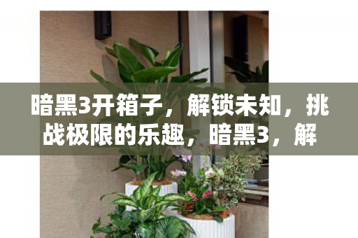 暗黑3开箱子，解锁未知，挑战极限的乐趣，暗黑3，解锁未知，挑战极限的开箱乐趣