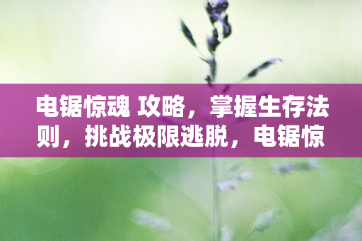 电锯惊魂 攻略，掌握生存法则，挑战极限逃脱，电锯惊魂，掌握生存法则，挑战极限逃脱攻略