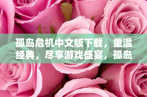 孤岛危机中文版下载图片