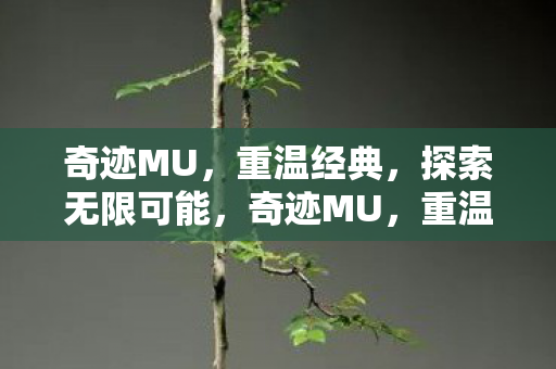 探索无限可能图片