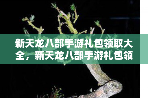 新天龙八部手游礼包领取大全,新天龙八部手游礼包领取攻略 新天龙八部手游礼包领取大全,新天龙八部手游礼包领取攻略