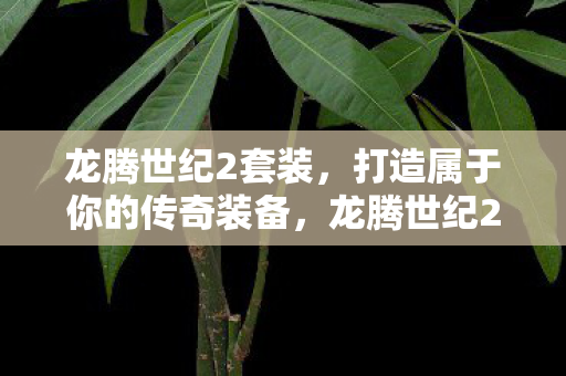 打造属于你的传奇装备图片