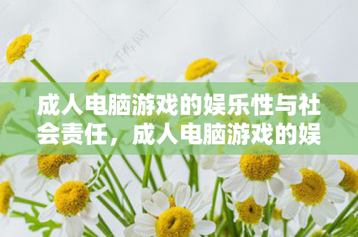 成人电脑游戏的娱乐性与社会责任图片