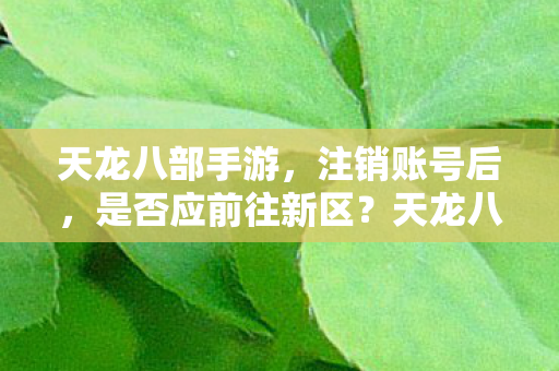 天龙八部手游注销账号后图片