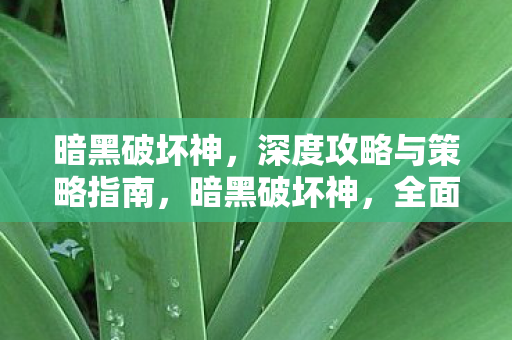 深度攻略与策略指南图片