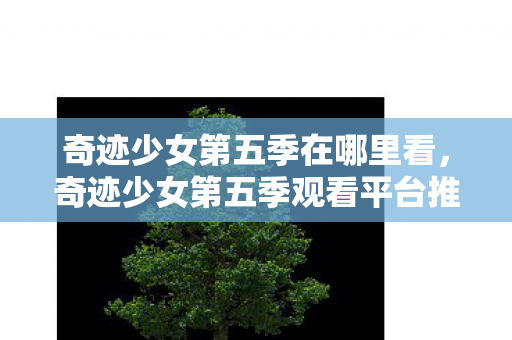 奇迹少女第五季观看平台推荐图片