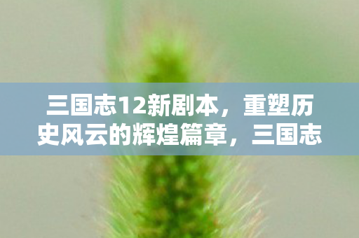 重塑历史风云的辉煌篇章图片