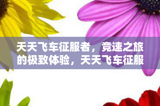 竞速之旅的极致体验图片