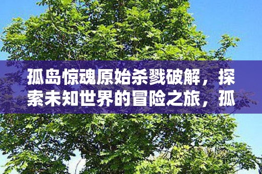 开启探索未知世界的冒险之旅图片