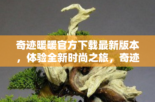 奇迹暖暖官方下载最新版本图片