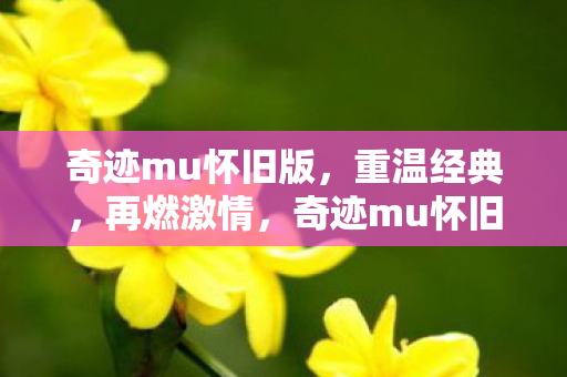 奇迹mu怀旧版图片