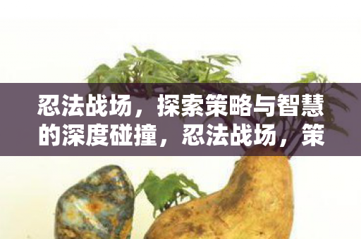 探索策略与智慧的深度碰撞图片