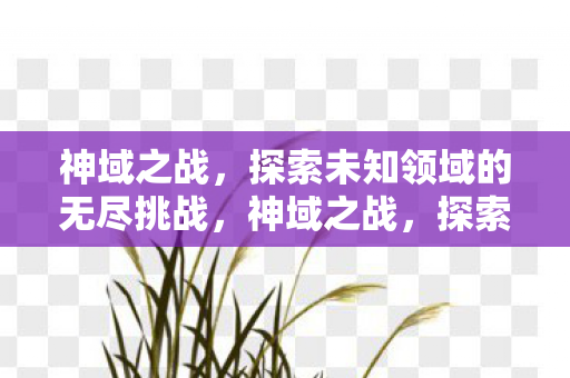 探索未知领域的无尽挑战图片