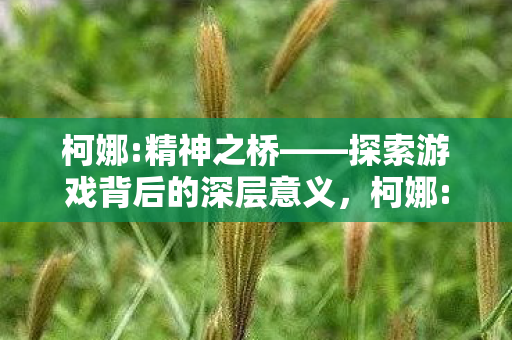 探索游戏背后的深层意义图片