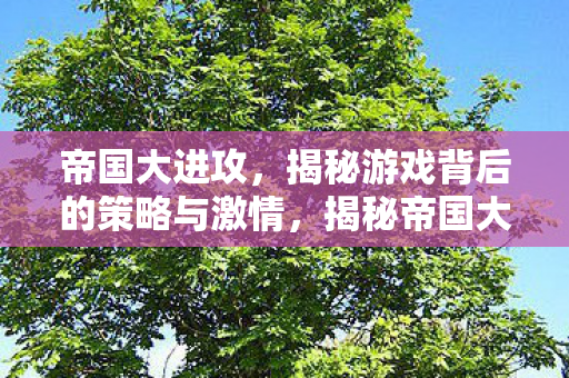 揭秘游戏背后的策略与激情图片