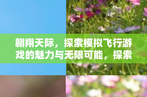 翱翔天际,探索模拟飞行游戏的魅力与无限可能,探索模拟飞行游戏的魅力与无限可能 翱翔天际,探索模拟飞行游戏的魅力与无限可能,探索模拟飞行游戏的魅力与无限可能