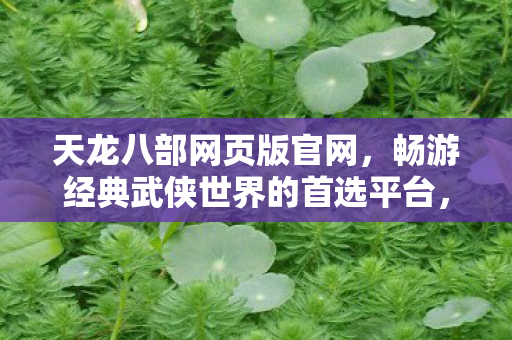 畅游经典武侠世界的首选平台图片