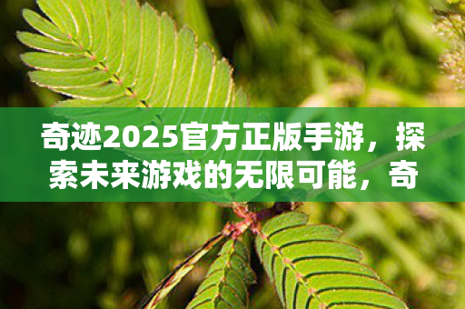 奇迹2025官方正版手游图片