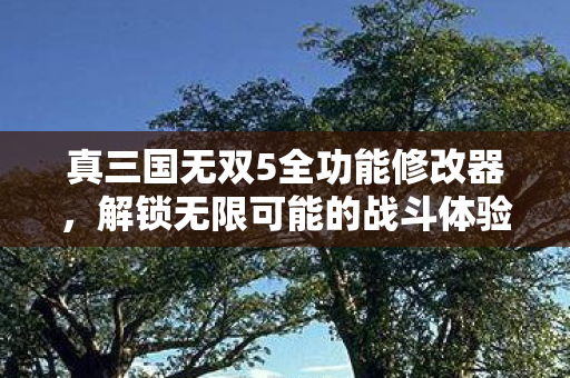 真三国无双5全功能修改器图片