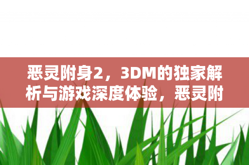 恶灵附身23DM独家解析与深度游戏体验图片