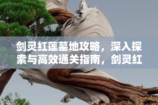深入探索与高效通关指南图片