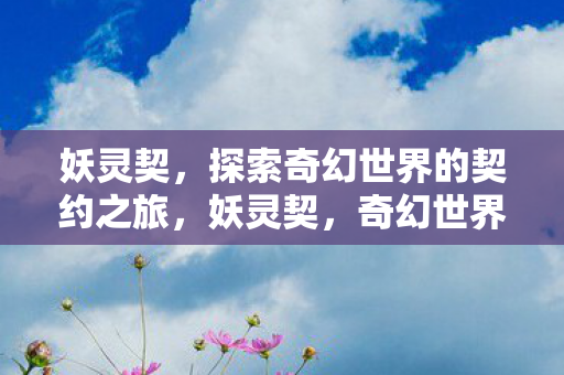 探索奇幻世界的契约之旅图片