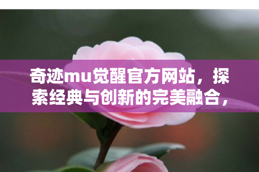 探索经典与创新的完美融合图片