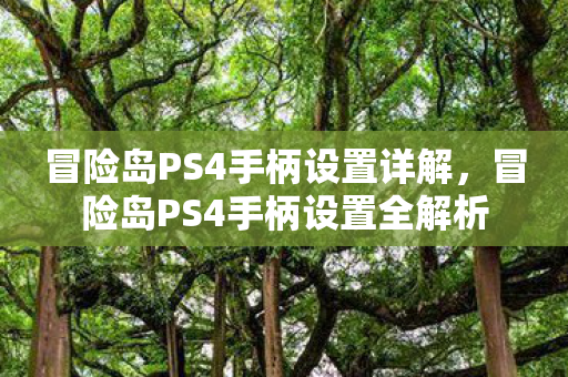 冒险岛PS4手柄设置详解,冒险岛PS4手柄设置全解析 冒险岛PS4手柄设置详解,冒险岛PS4手柄设置全解析