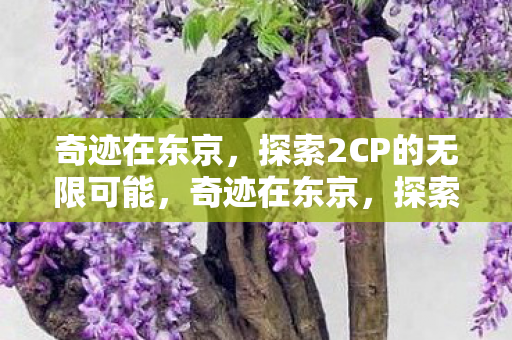 探索2CP的无限可能图片