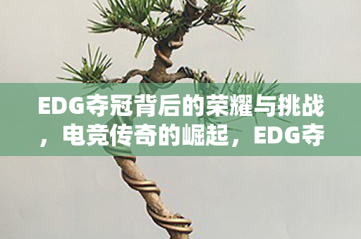 EDG夺冠背后的荣耀与挑战图片