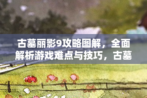 全面解析游戏难点与技巧图片