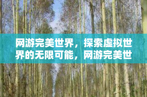 网游完美世界,探索虚拟世界的无限可能,网游完美世界,探索虚拟世界的无限可能 网游完美世界,探索虚拟世界的无限可能,网游完美世界,探索虚拟世界的无限可能