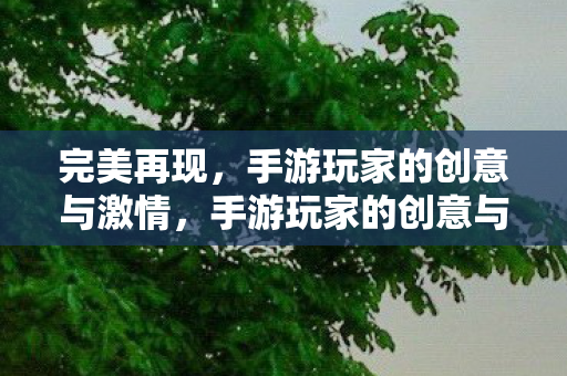 完美再现,手游玩家的创意与激情,手游玩家的创意与激情,完美再现 完美再现,手游玩家的创意与激情,手游玩家的创意与激情,完美再现