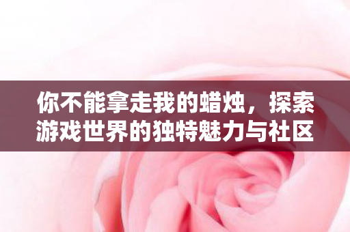 探索游戏世界的独特魅力与社区价值图片